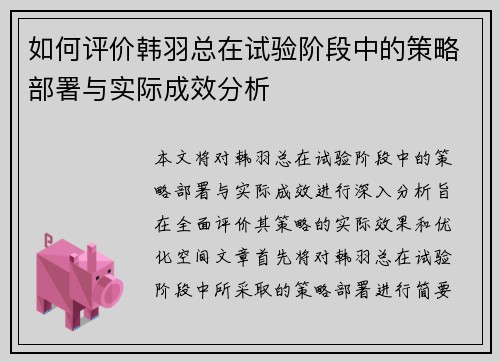 如何评价韩羽总在试验阶段中的策略部署与实际成效分析