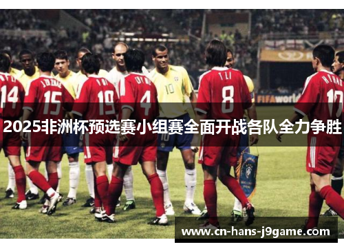 2025非洲杯预选赛小组赛全面开战各队全力争胜