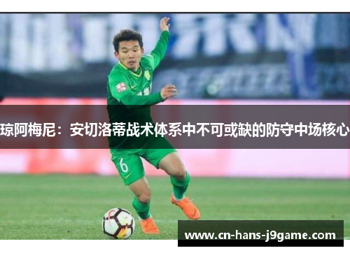 琼阿梅尼:安切洛蒂战术体系中不可或缺的防守中场核心 琼阿梅尼:安切洛蒂战术体系中不可或缺的防守中场核心