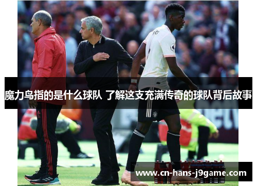 魔力鸟指的是什么球队 了解这支充满传奇的球队背后故事 魔力鸟指的是什么球队 了解这支充满传奇的球队背后故事